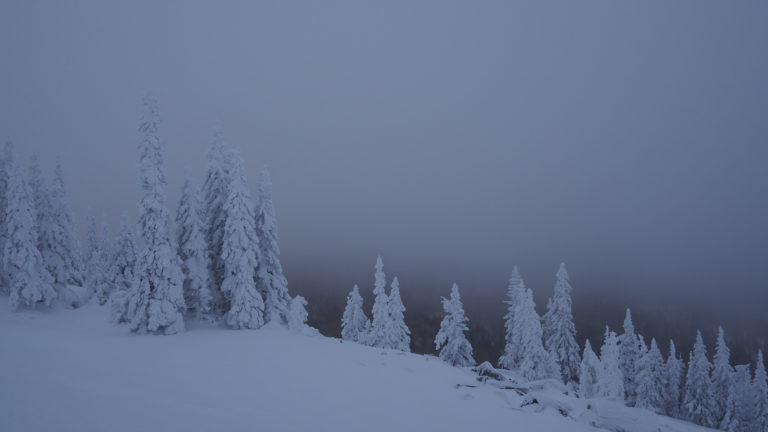 Снежный Уван