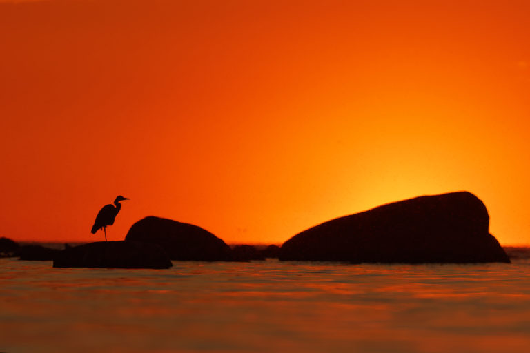 Театр теней