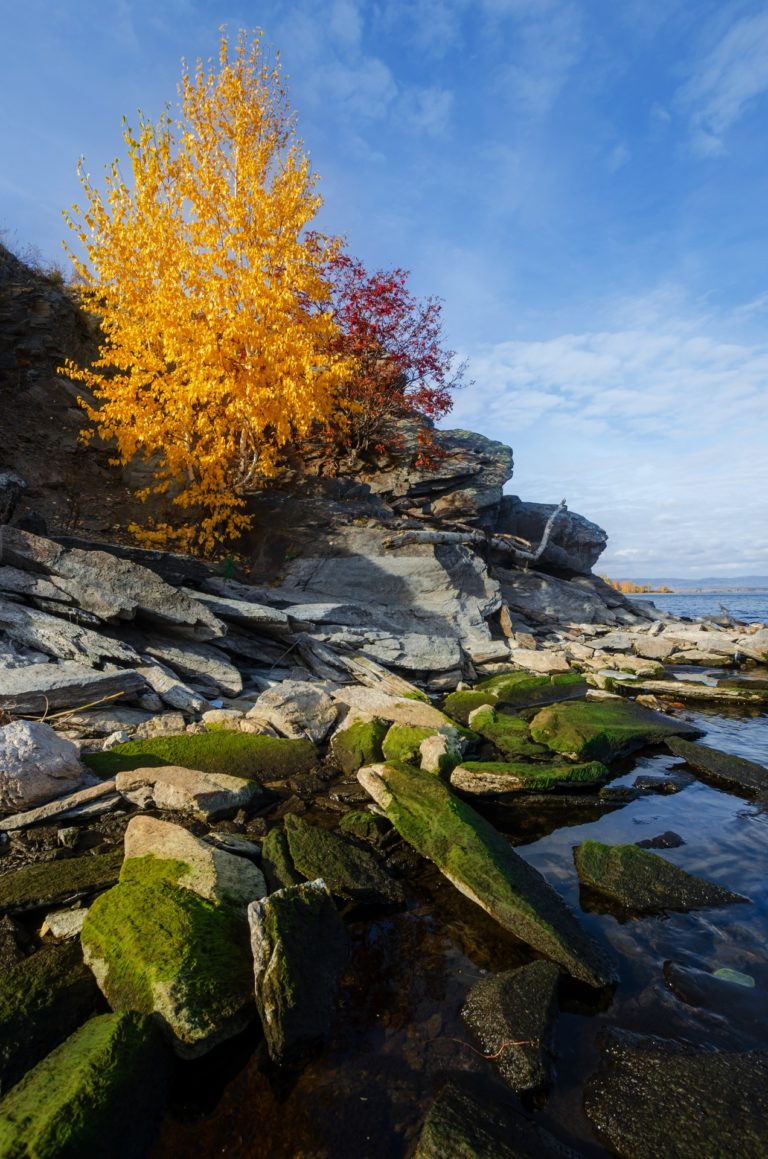 Осенняя  палитра.