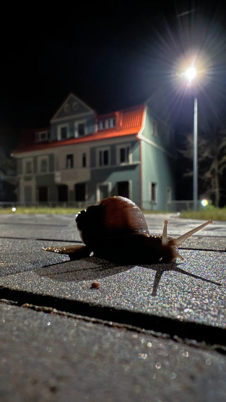 Нет времени торопиться