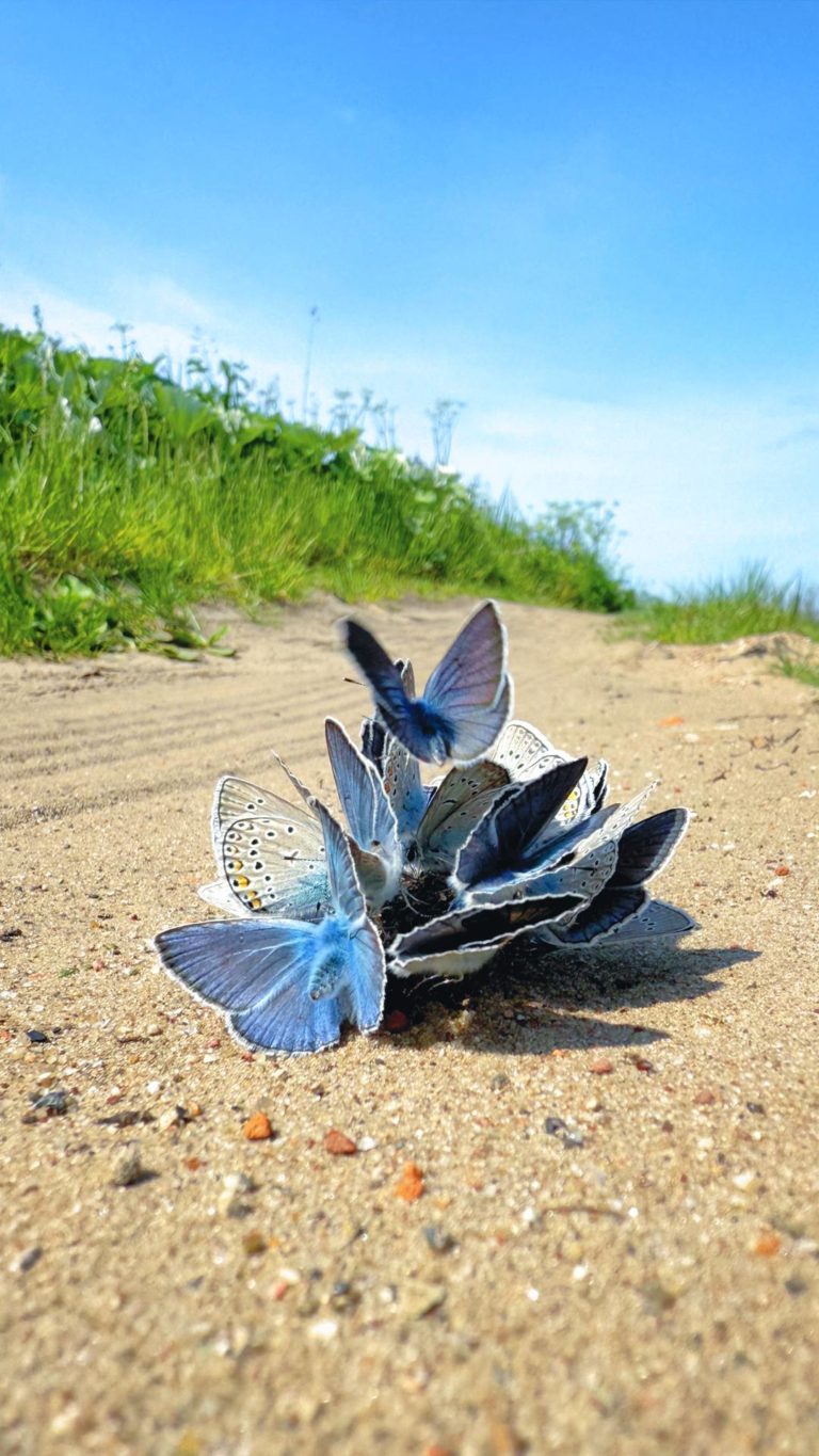 Самое яркое событие