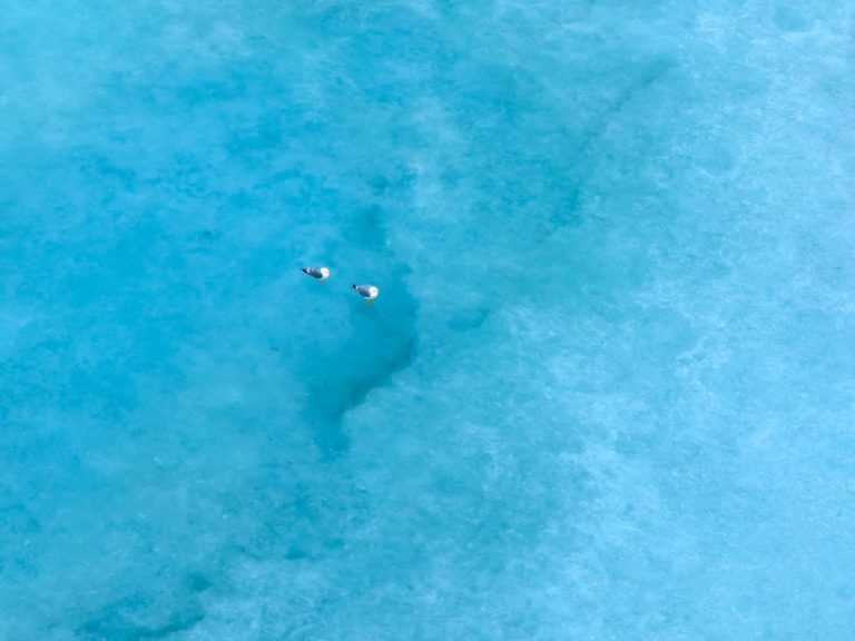 Две голубки