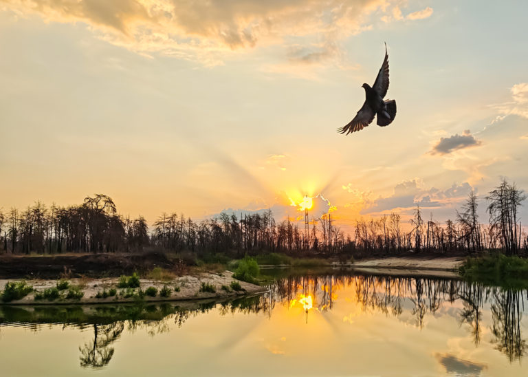 Ура рассвету!