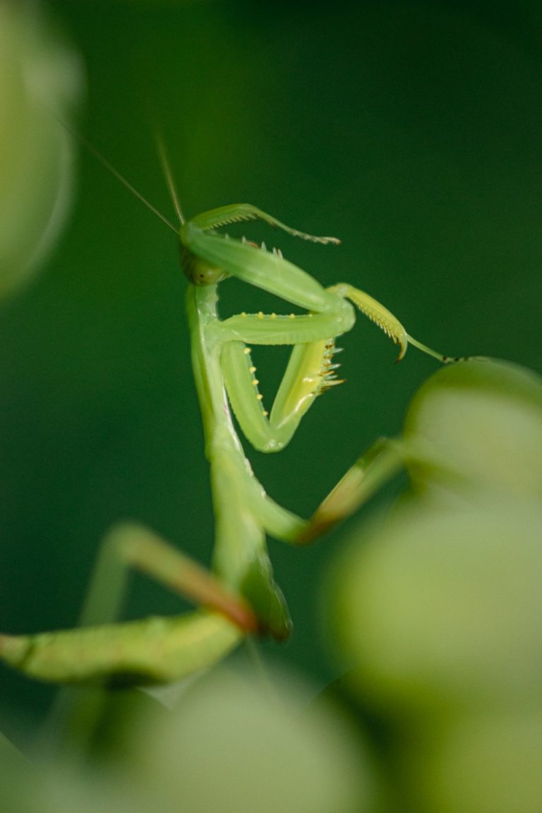 Вы меня снимаете?