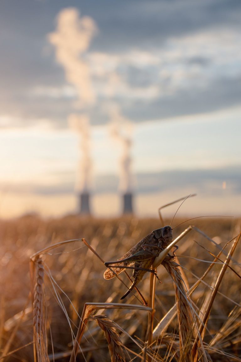 Два мира в одном кадре