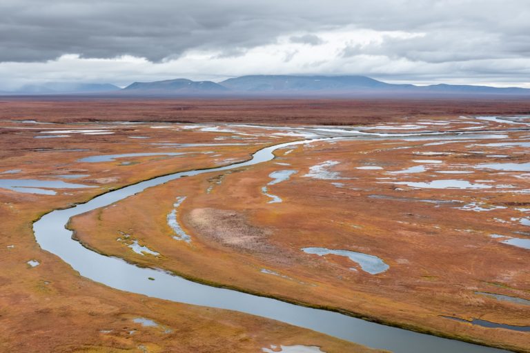 Безмолвие тундры