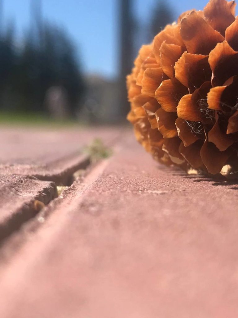 Прелесть обыденного