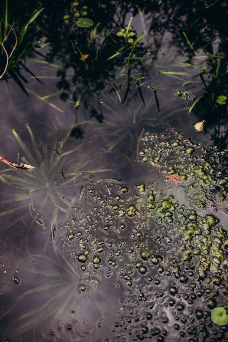 Глуховка река