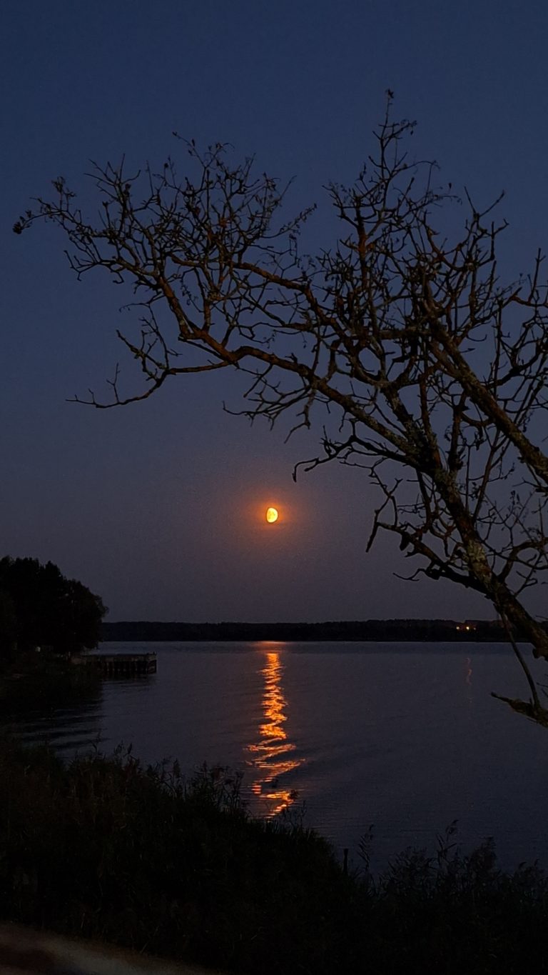 Лунная змея