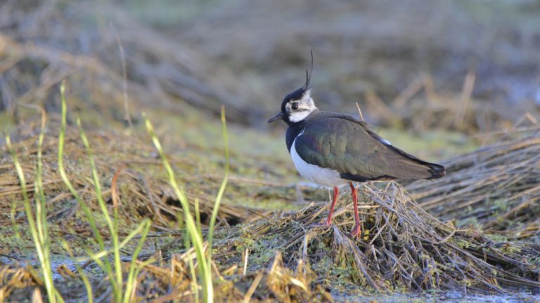 На другой планете