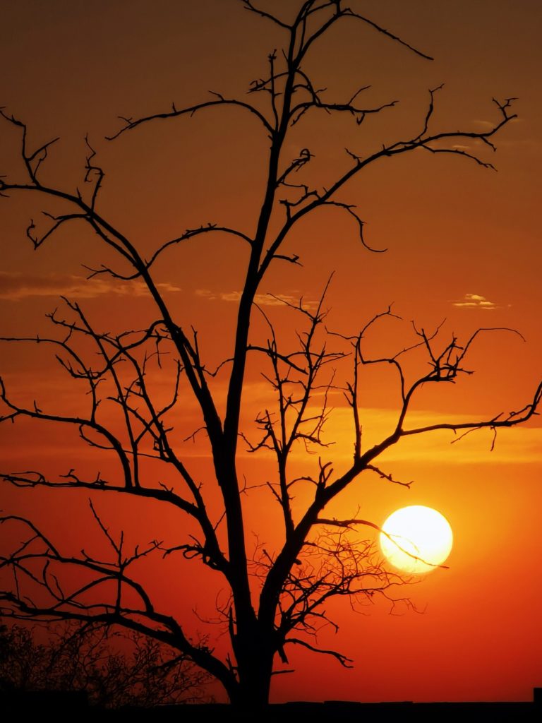 Оранжевый закат