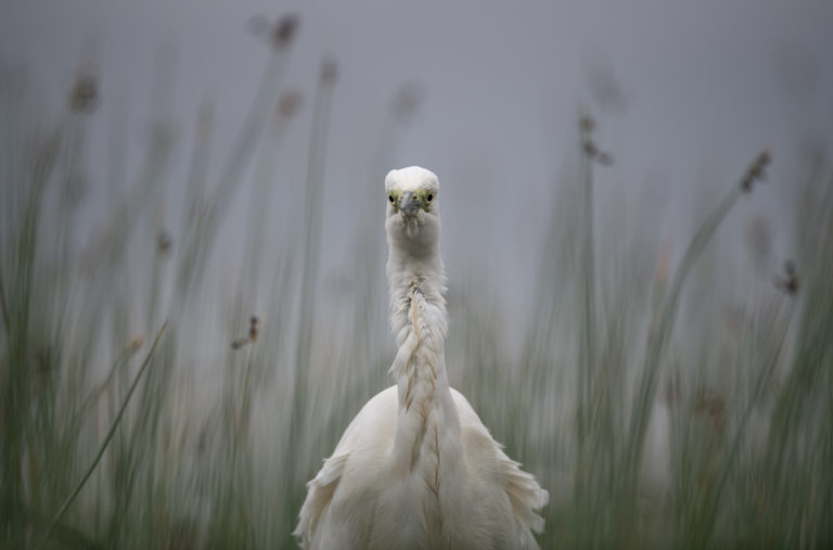 Задумалась