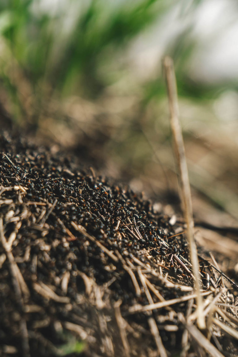 Работа кипит