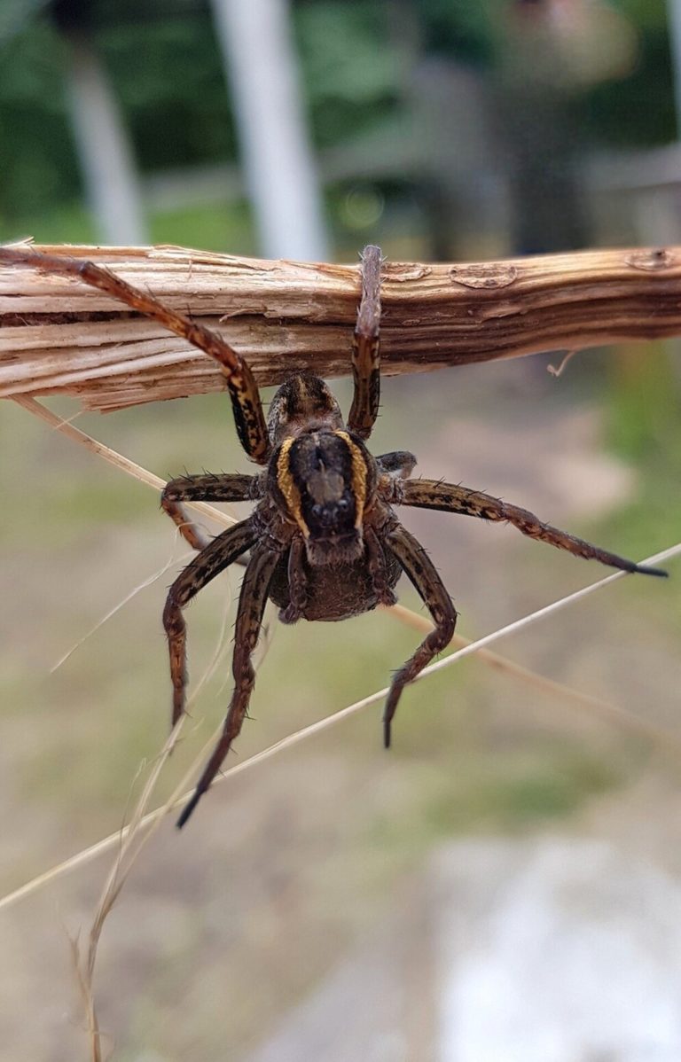 Колыбель жизни