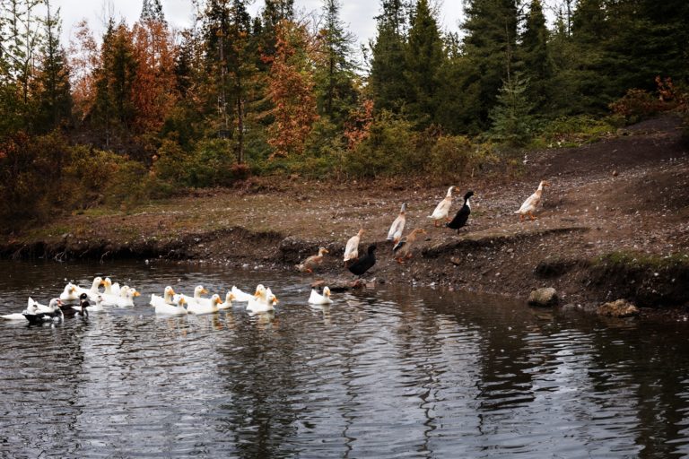 ПОПЛАВАЛИ В ЕНИСЕЕ —  ПОРА ДОМОЙ!