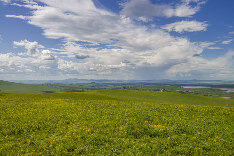 Территория