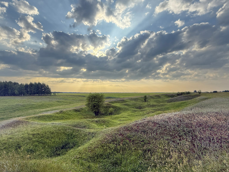 На зеленых холмах