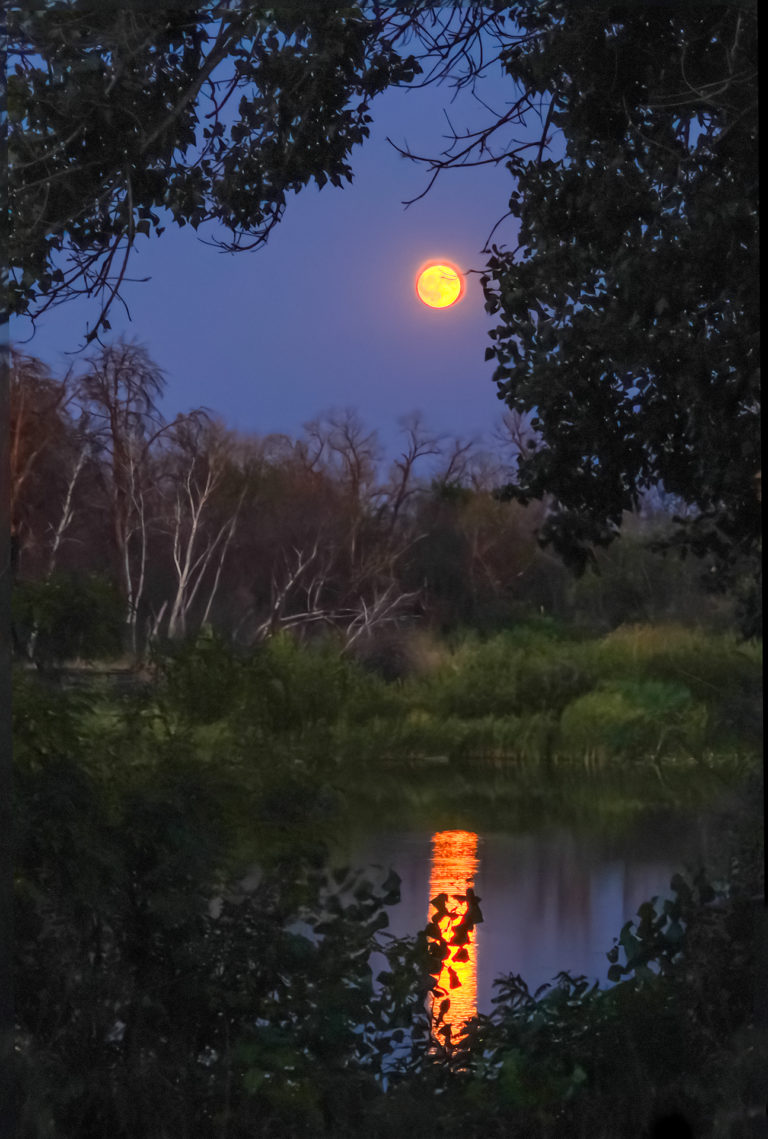 Полнолуние