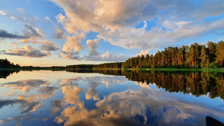 Зеркало Природы