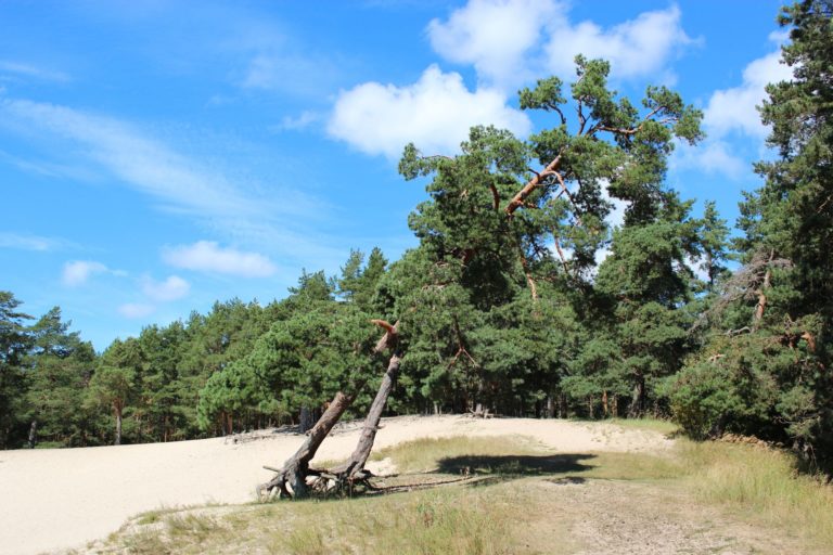 Символ перемен
